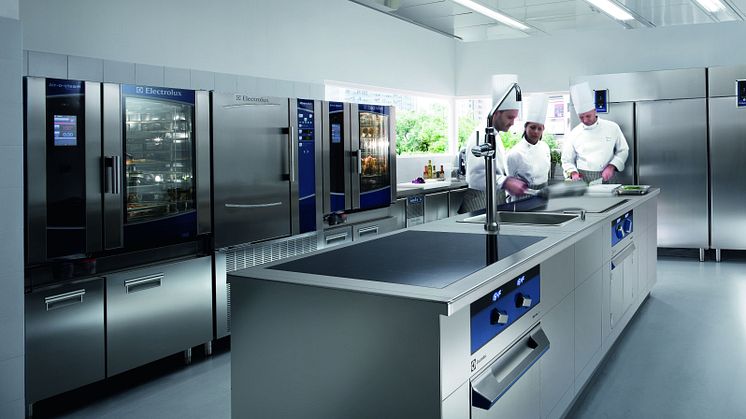 Electrolux Professional AB picks Treasury Systems