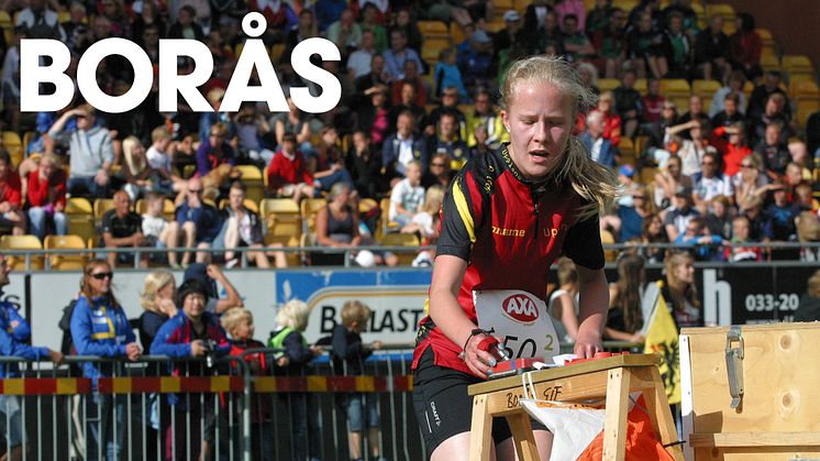 Besöksstatistik, Borås - sommar och höst 2015