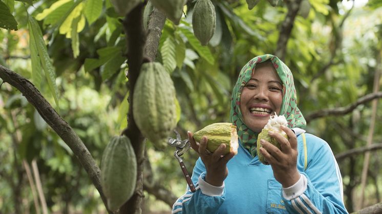 Mondelēz ha rilanciato il programma Cocoa Life: investimenti totali per 1 miliardo di dollari entro il 2030 e un appello per azioni collettive a sostegno della filiera del cacao