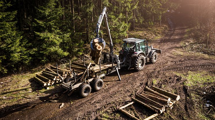 Trejon Multiforest - Skogsvagn MF1202 - 01