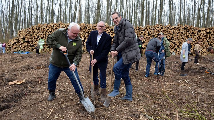 Waldmeisterschaft 2024 - Pflanztermin am Kulkwitzer See