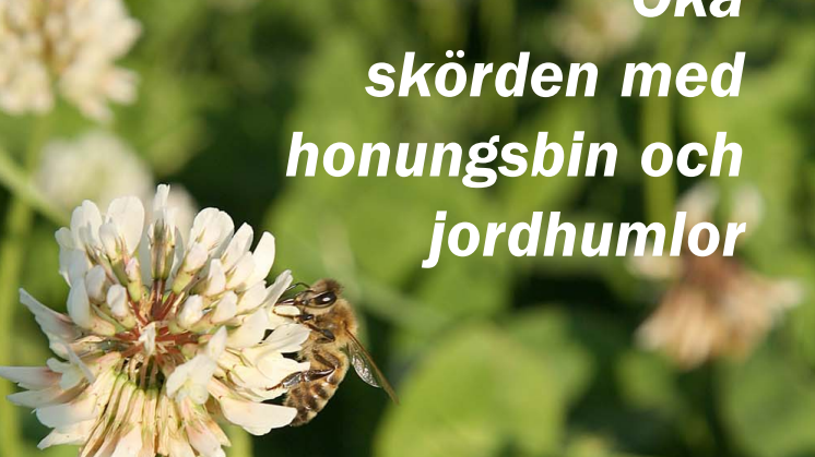 Öka skörden med bin och humlor/Jordbruksverket