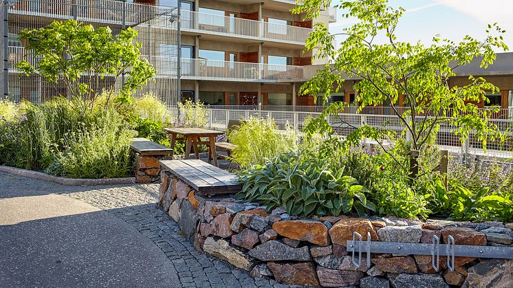 Riksbyggens Brf Viva, Guldheden, har bland annat utsetts till Årets Miljöbyggnad. Foto: Ulf Cederlöf.