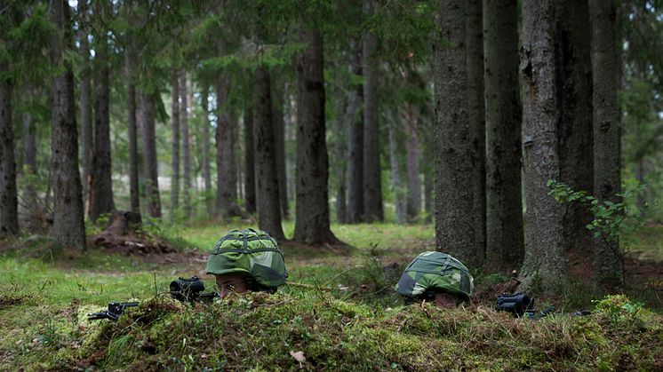 Härnösands kommun kommenterar beskedet om nytt regemente till Sollefteå