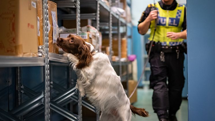 Årets anrkotikasökhund 2021