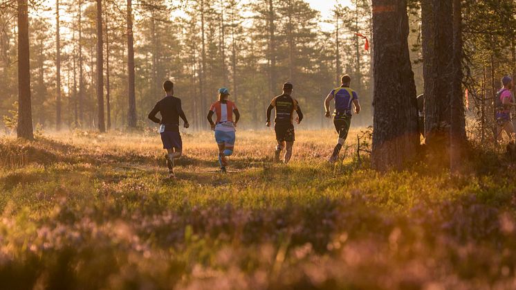 Ultravasan and Vasastafetten 2016