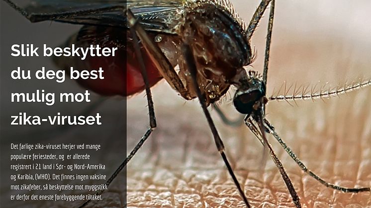 Slik beskytter du deg best mulig mot zika-viruset