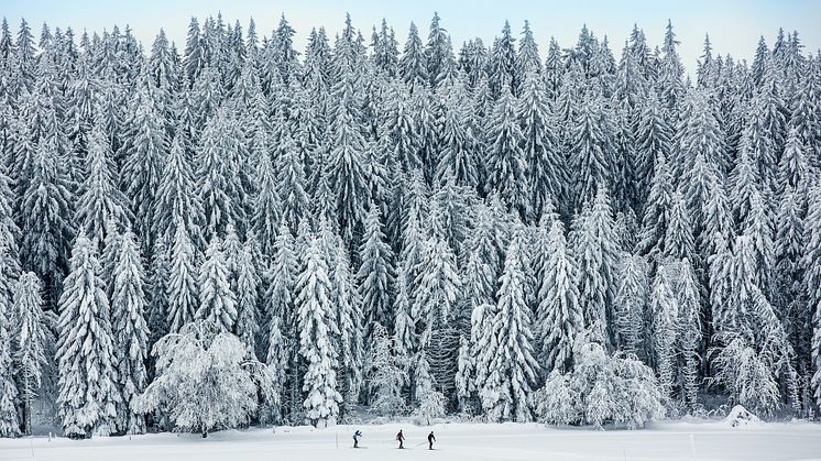 Naturpark Doubs 