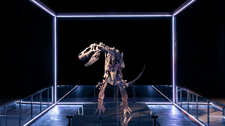 Foto: Evolutionsmuseet