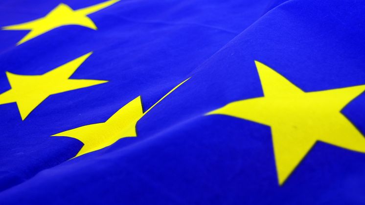 Skiljeboskolans firande av Europadagen!