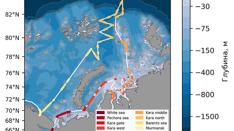 Floating macro litter observed transects in White, Kara and Barents seas