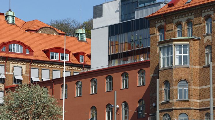 Hälsovetarbacken