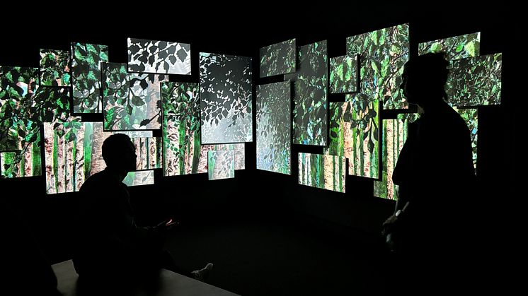 De reisende på Flesland kan nå ta en kunstpause i en multimedial installasjon basert på Nikolai Astrups kunst. (foto: Kode).