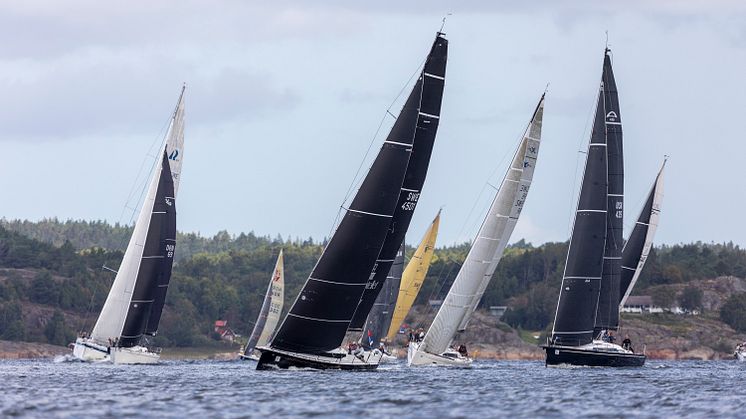 Tjörn Runt by Cowi 2024