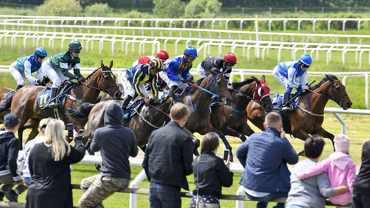 Årets största familjedag på Göteborg Galopp