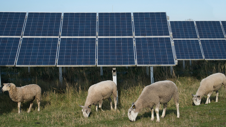 A new toolkit has been developed to support rural communities with the development of renewable energy projects. Photo: Adobe Stock