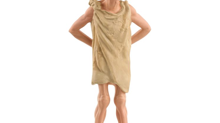 13985_Wizarding World_Dobby (c)Schleich