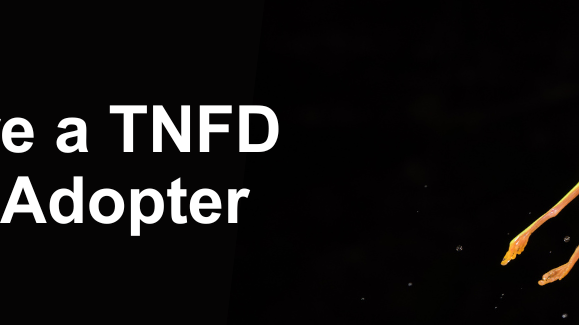 Newsletter 1
