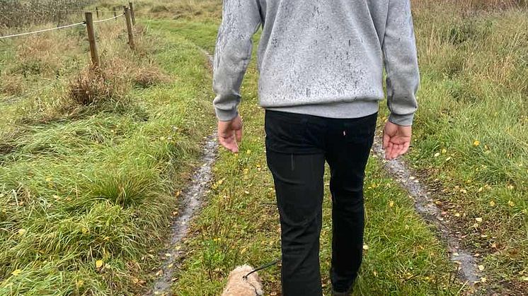 Hundpromenader under Convini Challenge