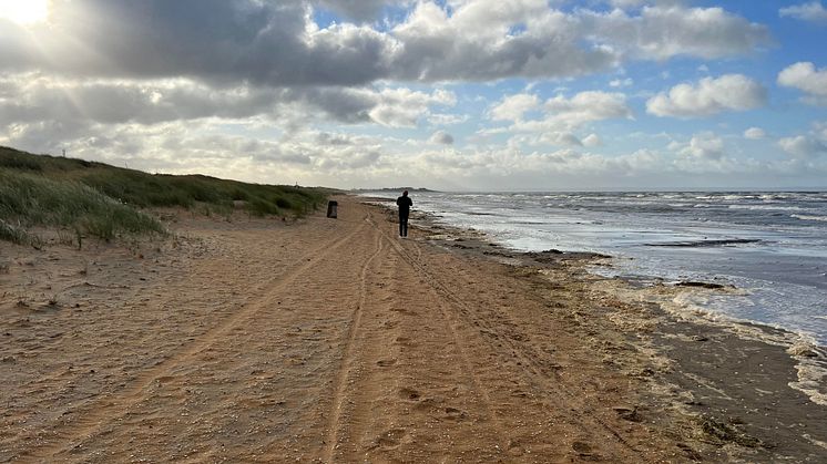 Där personen står skulle tävlingsbanan ha varit. Som synes är det alldeles för nära vattnet, därför flyttas tävlingen 24MX Beach Race Enduro fram. Foto: Destination Halmstad.