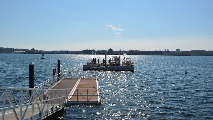 Seekuh_Reinigung_Badestelle_28.04.21 (1)