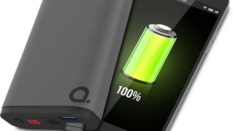 Svenskar hamstrar powerbanks