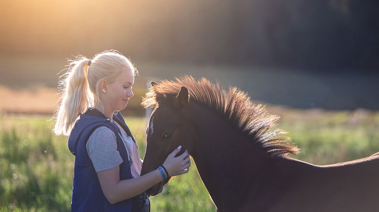 I fokus för samarbetet mellan Sveland Djurförsäkringar och ASRP, ligger att verka för fler hållbara ridponnyer på tävlingsbanorna. Foto: Sveland Djurförsäkringar