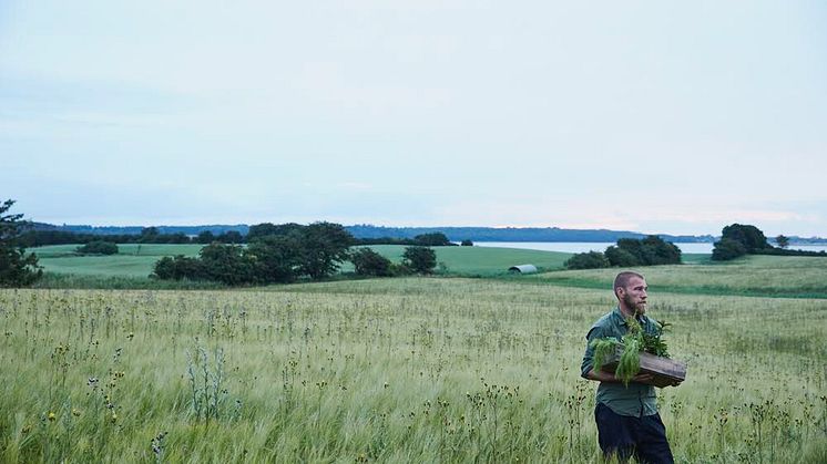 Mikkel Karstad