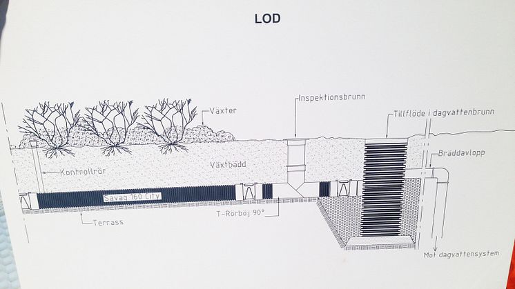 LOD