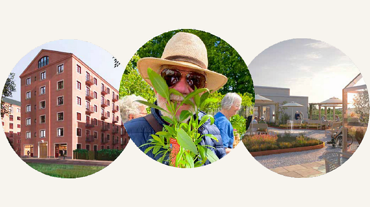 Blomsterfondens tre verksamhetsområden hem, vård och omsorg och glädje och mening för äldre