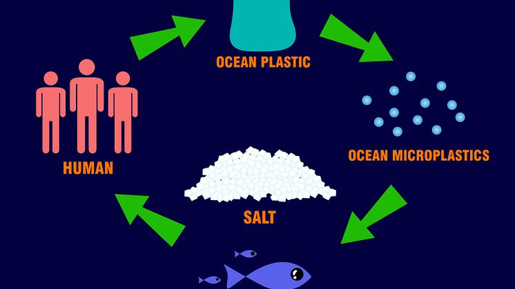 Not only does do environmental pollutants stick to microplastic surfaces but they also appear to become more toxic as a result of the interaction (Photo credit: iStock-1060396196))