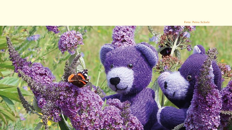 Bärenherz-Kalender für 2016 verfügbar