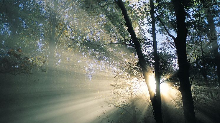 The spring equinox – The return of the sun is the year’s greatest celebration
