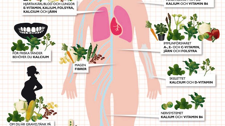 Findus dietist visar vägen bland vitaminer och mineraler - Få en piggare vår med Findus Grönsaksguide