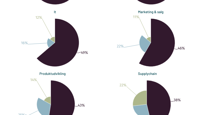 gennemsnitlig-implementeringstid-for-ai-2024.png