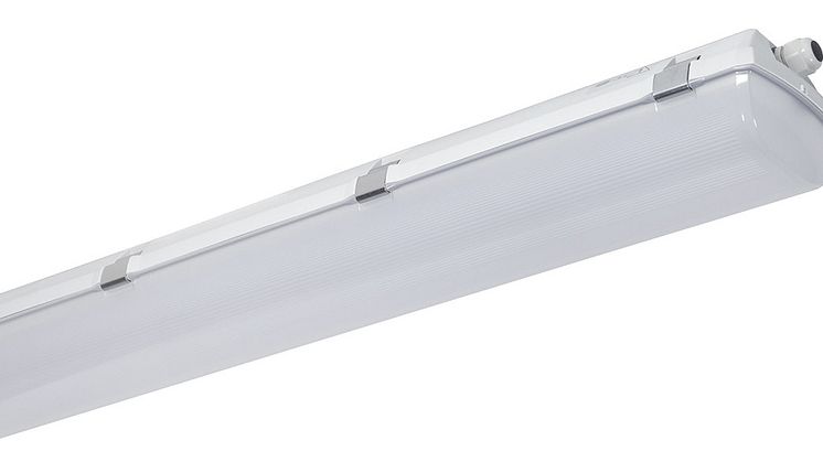 LED-limpan