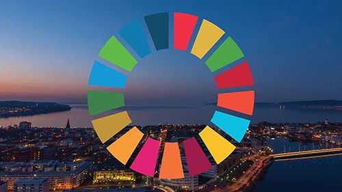 Sustainability goals in focus at international conference