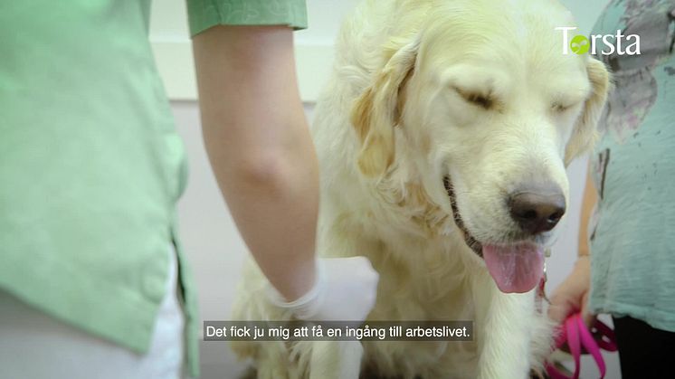 Före detta elever på djurprogrammet berättar