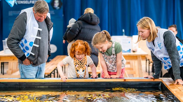 Havoteket har varit ett populärt besöksmål under H22 City Expo. Nu förlänger man öppettiden till mitten på augusti.