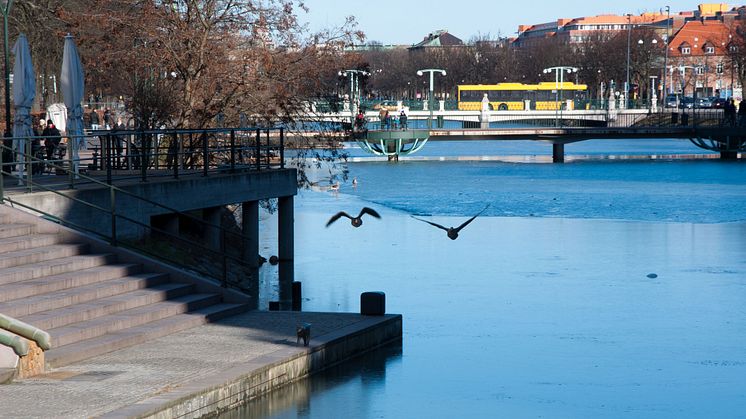 Ny busslinje förbättrar pendling till Fosie från Oxie, Vellinge och Trelleborg