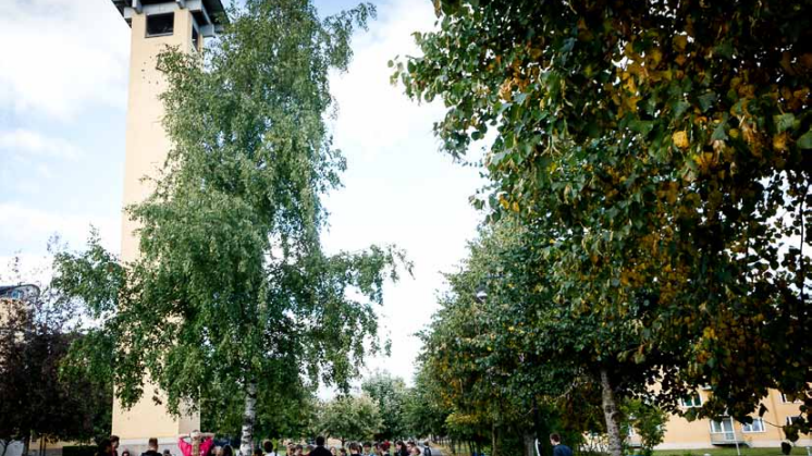 Allt att vinna på ett närmare samarbete