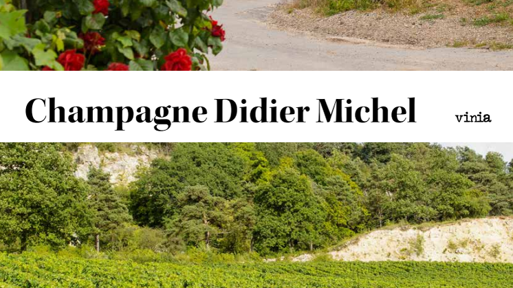 Champagne Didier Michel - Årgångs- och områdesbetecknad Grand Cru, Blanc de Blanc