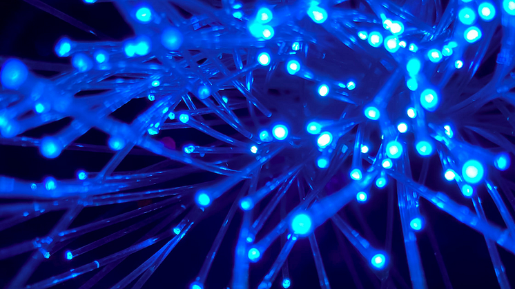 Fiber-data-og-hoeje-hastigheder-FI2021okt