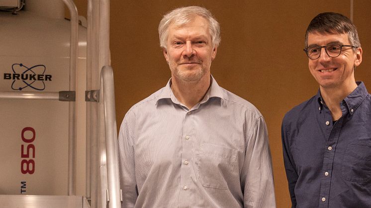 Jürgen Schleucher och Thomas Wieloch, Institutionen för medicinsk kemi och biofysik, Umeå universitet. Foto: Eva-Maria Diehl.