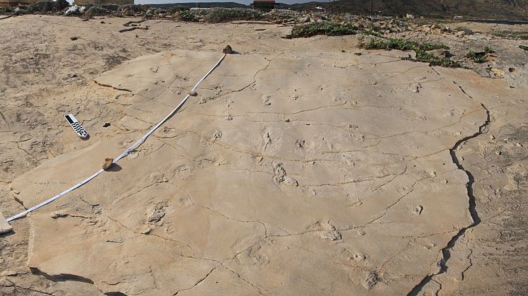 The footprints from Trachilos