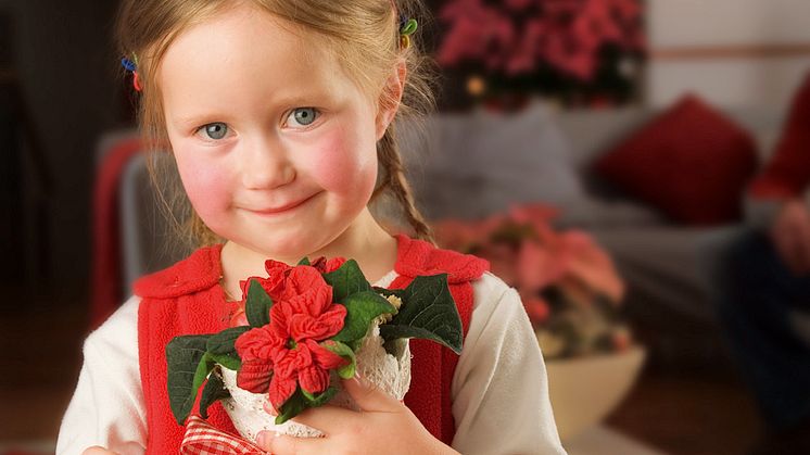 Julstjärnan är oemotståndligt röd