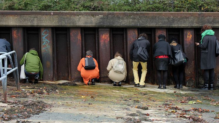 Urbana undersökningar