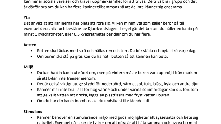 Så tar du hand om kaninen