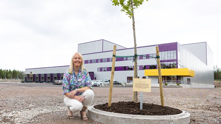 “Instead of cutting a ribbon, we choose to plant a tree, an oak that can grow together with the family and the company. A warm greeting to former and future generations from us in the 3rd, 4th and 5th generation,” says Katherine Löfberg.