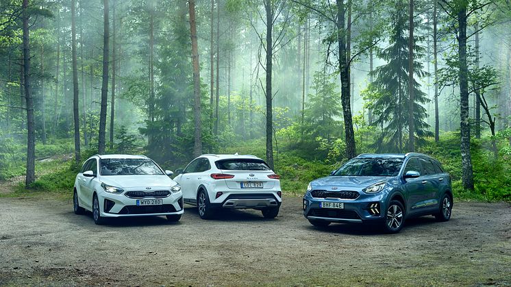 Kia Ceed-modellfamiljen och Kia Niro etta respektive tvåa på den svenska bilmarknaden i juli.